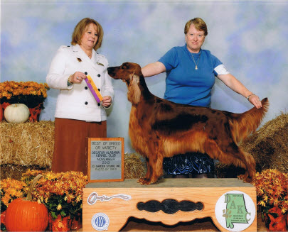 Champion Kinloch's Vice Versa