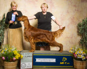 CH Kinloch's Dishonorable Discharge