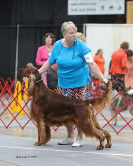 Shoney stacked in the ring