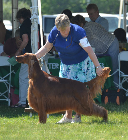 Kinloch Cease and Desist Stacked