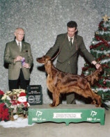 Champion Bluerose One for the Money