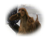 Champion Kinloch's Left Of Center