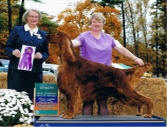 Champion Kinloch's Without a Doubt Cairncross