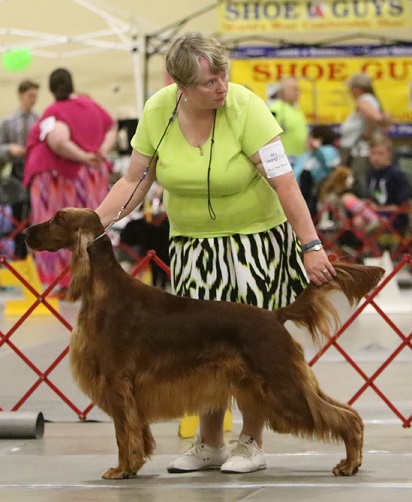 CH. Kinloch's Never Mind